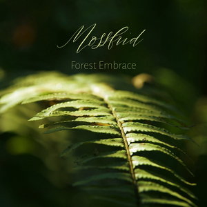 自拍偷拍综合网
